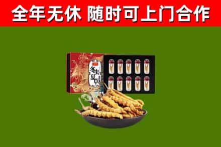 茂南区回收冬虫夏草价格